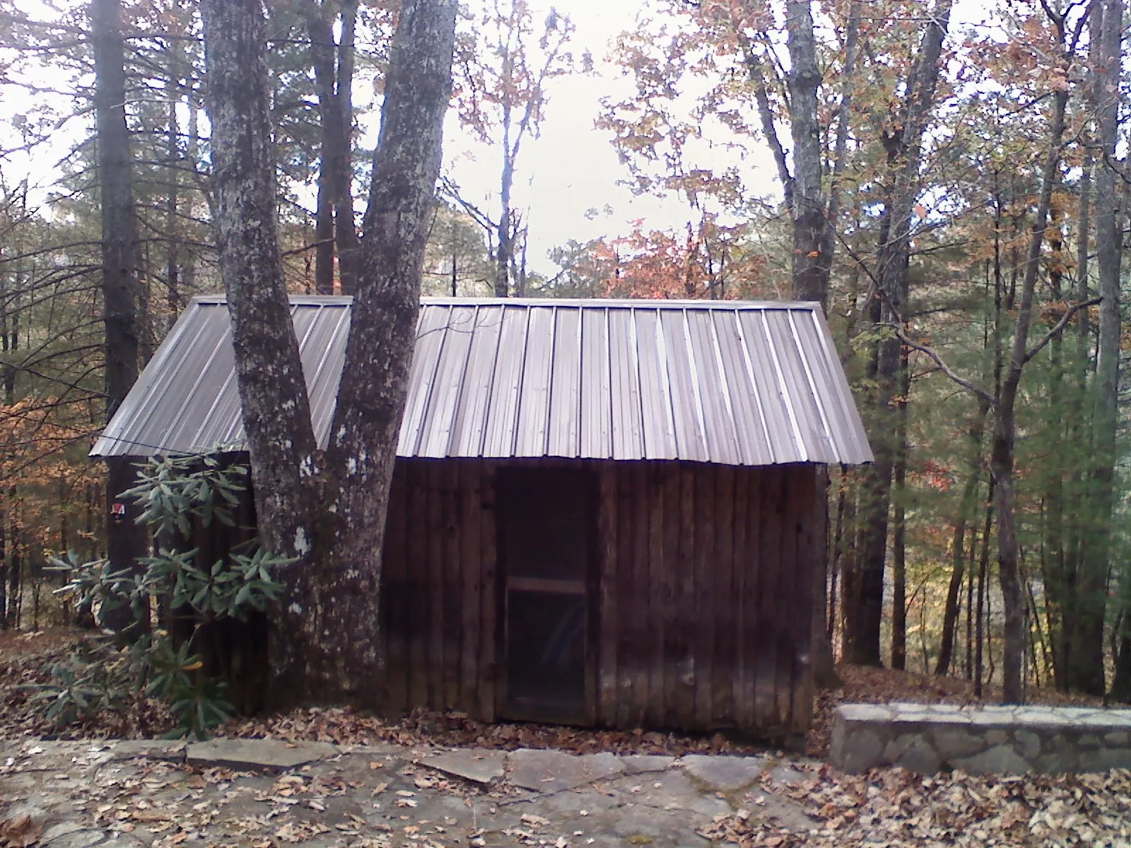 New metal gable roof on a small log shed among the trees in Elwell